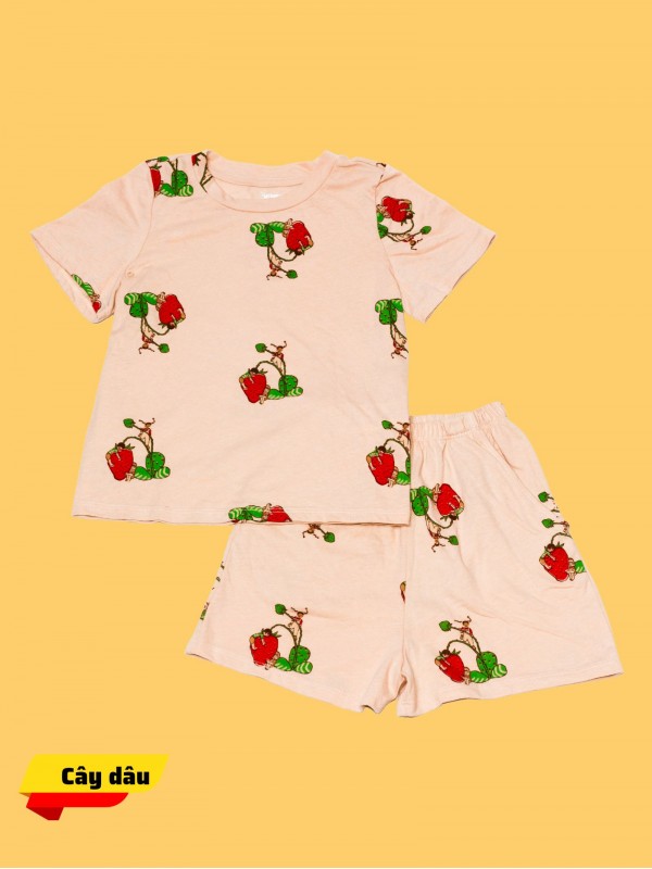 Bộ đồ trẻ em cây dâu Size 100