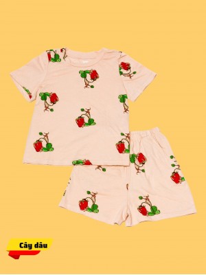 Bộ đồ trẻ em cây dâu Size 130